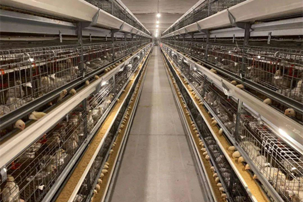 云浮肉雞養(yǎng)殖工廠消防維保 云浮肉雞養(yǎng)殖工廠消防維保